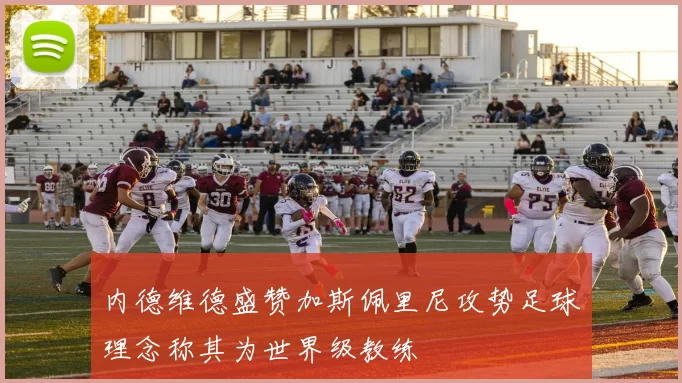 内德维德盛赞加斯佩里尼攻势足球理念称其为世界级教练